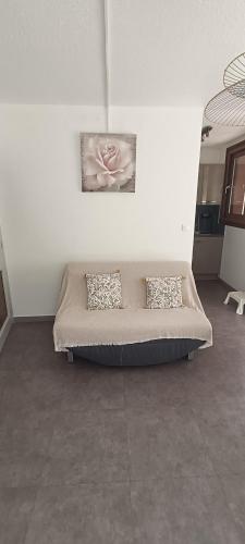 - un canapé dans le salon avec deux oreillers dans l'établissement Appartement climatisé Parc Paradis 150 m des thermes, à Gréoux-les-Bains