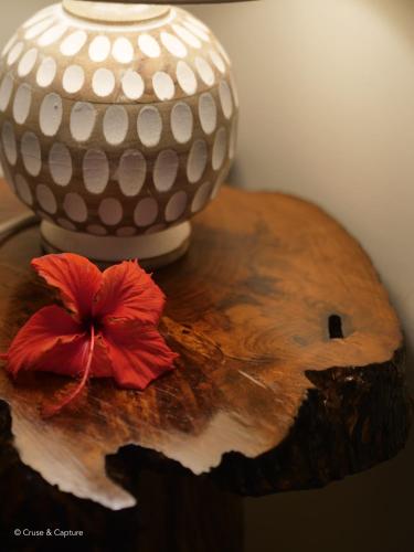 Galería fotográfica de Latui Loft en Savusavu