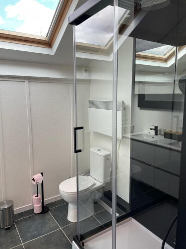 a bathroom with a toilet and a sink at Favau in Villeneuve-sur-Lot