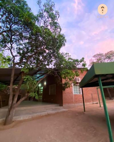 a tree in front of a building with a kite in the sky at La Luna Homes in Blantyre
