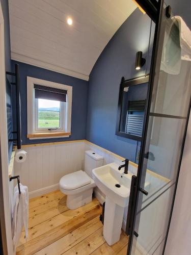 a bathroom with a white toilet and a sink at Oak Moor Shepherd Hut - Brecon Beacons, LD3 7TD in Tal-y-llyn
