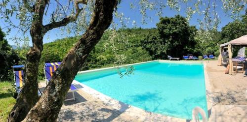 a large swimming pool with chairs and a tree at Ala di Maniero in Agriturismo Valdrago in Toscana, nel Verde Mugello sulle Colline di Firenze Autodromo Mugello Circuit in Borgo San Lorenzo