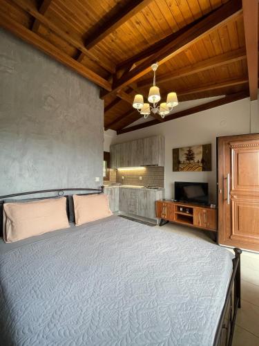 a bedroom with a bed and a wooden ceiling at Villa Dionisos in Skotína