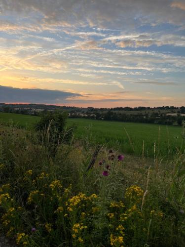 a field of grass with flowers in the foreground at Gite Entre Causse et Vallon, tout confort pour 4 personnes dans grange rénovée au coeur de l'Aveyron in Salles-la-Source