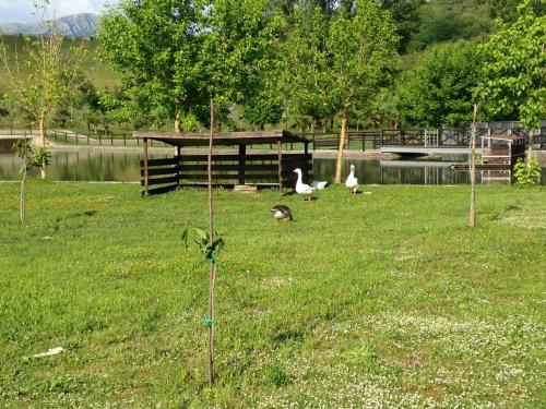 Κήπος έξω από το Green House Oasi Fiume Alento