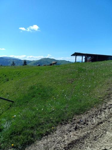 a grassy field with a building on top of it at Altan's Gold in Hangul