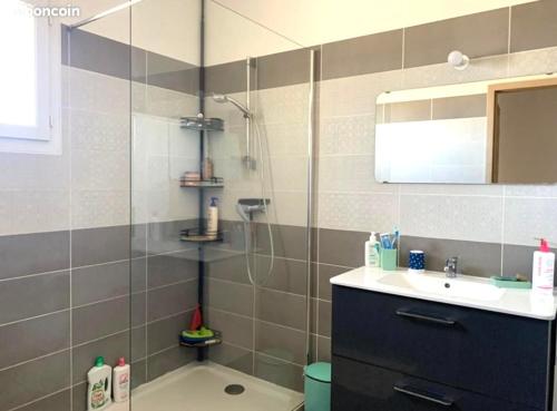 une salle de bain avec douche et lavabo dans l'établissement Charmante Maison Mitoyenne, à Cervione