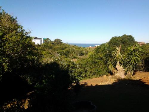 a view of the ocean from a hill with trees at Dolphin View Guesthouse in Jeffreys Bay