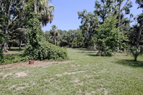 a park with a tree covered in ivy at Old town Bluffton Charm, BEST LOCATION Calhoun St. in Bluffton