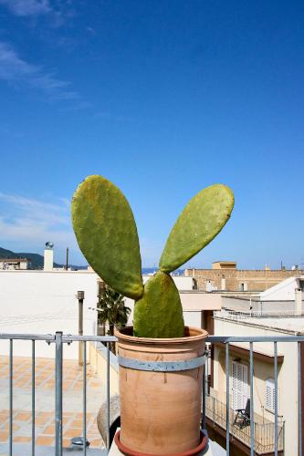 a potted plant in a pot on a balcony at Casa Zizzi - appartamento romantico per 2 in Puglia in Montalbano