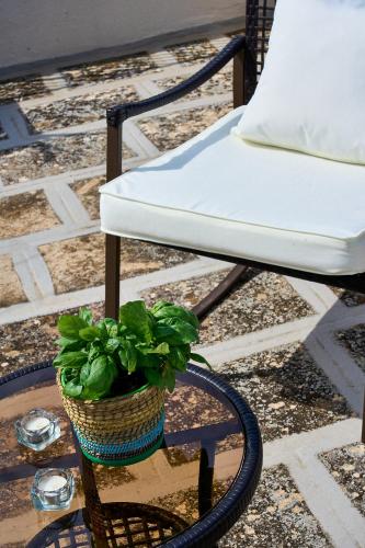 a chair and a potted plant on a patio at Casa Zizzi - appartamento romantico per 2 in Puglia in Montalbano