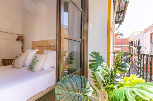 ISG Apartments Relator