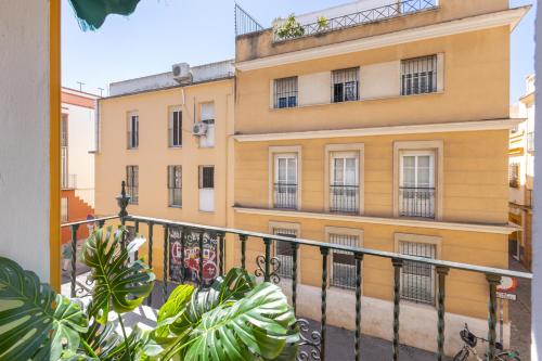 ISG Apartments Relator