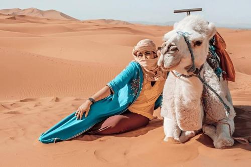 Domácí mazlíčci ubytovaní s hosty v ubytování Desert Camel Trek