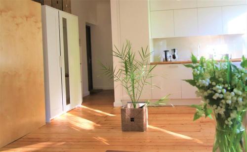a room with two vases and a plant in it at Self check-in spacious apartment in a quiet area in Rīga