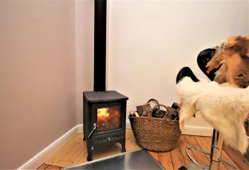 a wood stove in a living room with a dog at Self check-in spacious apartment in a quiet area in Rīga