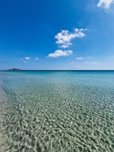 Gallery image of Résidence Kelibia in Kelibia