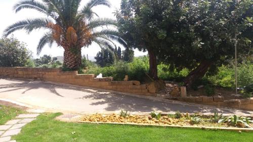 a retaining wall in a yard with two palm trees at Villa La Lumia B&B Suites & Apartments in Agrigento