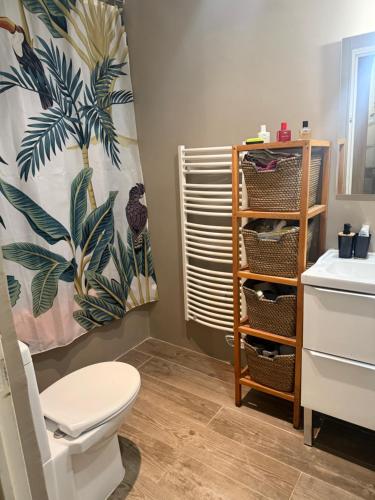 une salle de bain avec toilettes, lavabo et douche dans l'établissement LOFT - AVIGNON PROCHE REMPART, à Avignon