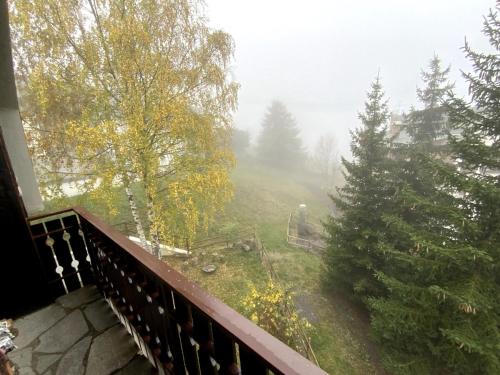 Sauze d'OulxにあるSauze D'Oulx Penthouse Apartmentの霧の庭が見えるバルコニー