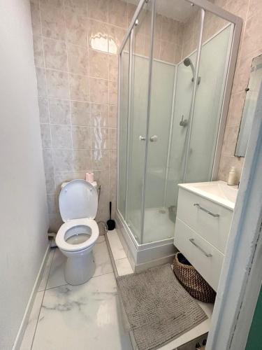 une salle de bain avec une douche, des toilettes et un lavabo dans l'établissement Studio Niçois à 500m de la mer, à Nice
