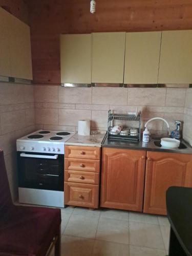 Kuchyň nebo kuchyňský kout v ubytování Vila Omeragic