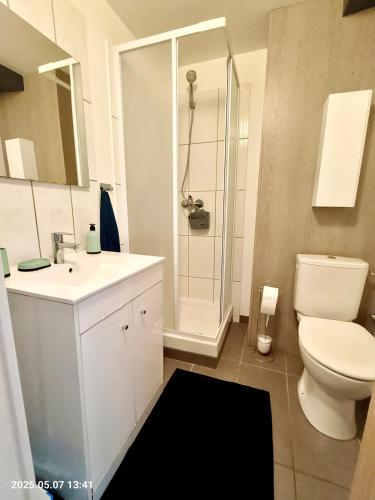 une salle de bain avec toilettes, lavabo et douche dans l'établissement Chez les filles deFrance, à Royat