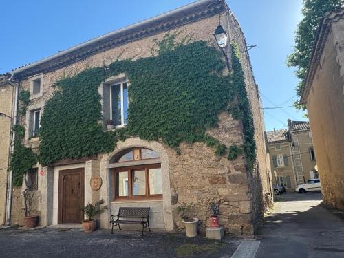 un bâtiment recouvert de lierre avec un banc devant lui dans l'établissement Ô banc de la vigne, à Fabrezan