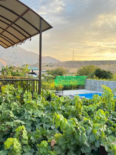a garden with a pool in the middle at Rockside House Areni in Areni