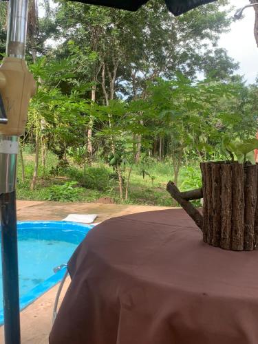 a table with a tree stump next to a pool at Magic Tree in Santa Cruz de la Sierra