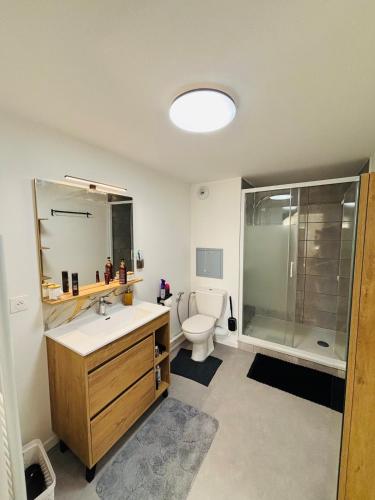une salle de bain avec toilettes, lavabo et douche dans l'établissement Duplex spacieux, au Blanc-Mesnil