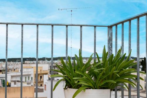a plant on a balcony with a view of a city at Case Vacanze Otranto in Otranto