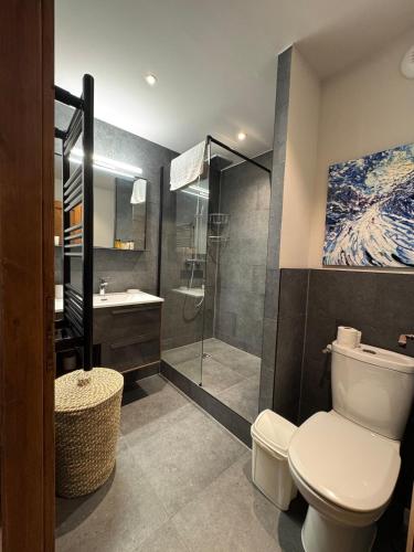 une salle de bain avec toilettes, douche et lavabo dans l'établissement Beautifully renovated 2 bed apartment - sleeps 4, à Bourg-Saint-Maurice