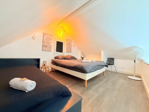 a bedroom with two beds in a attic at Les terrasses d'Ornans in Ornans