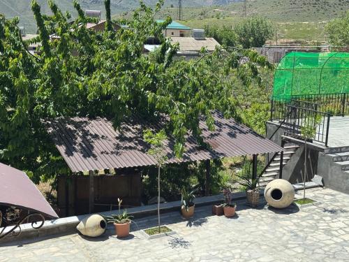 a group of trees and potted plants on a patio at Rockside House Areni in Areni