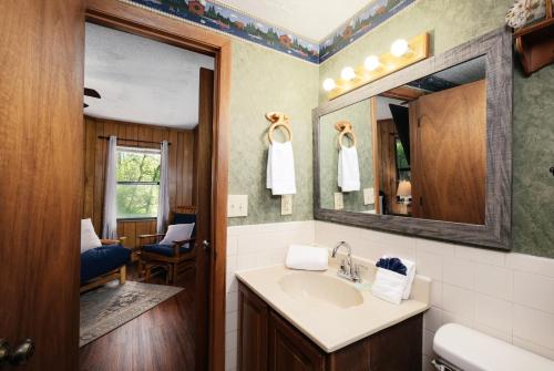 ein Badezimmer mit Waschbecken und Spiegel in der Unterkunft Pet friendly, hottub, sleeps 4, flat roads, GBurg! in Gatlinburg