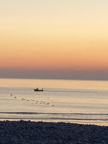 a boat in the ocean with birds on the beach at Quiet house, Cayeux-sur-Mer, Baie de Somme in Cayeux-sur-Mer