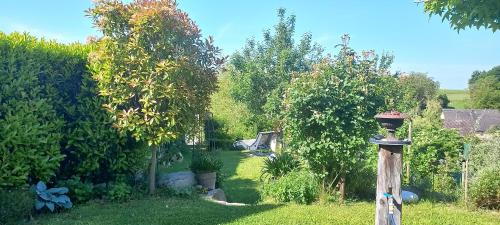 Zahrada ubytování Ferienwohnung Rebgärtle