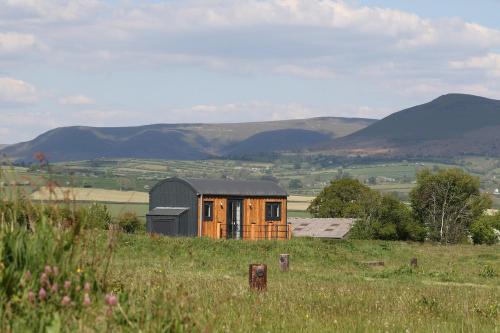 a small house in a field with mountains in the background at Long Meadow Shepherd Hut - Brecon Beacons, LD3 7TD in Tal-y-llyn