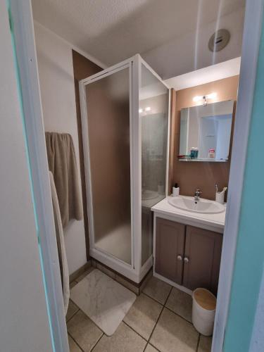 une salle de bain avec douche et lavabo dans l'établissement Appartement cosy avec piscine chauffée, à Cabourg