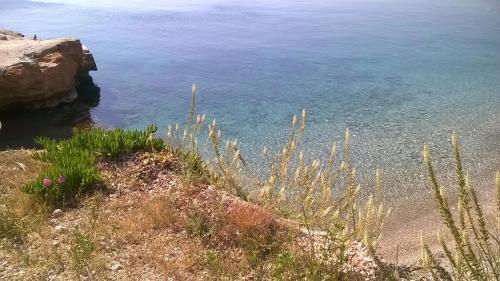 Φυσικό τοπίο κοντά σε αυτό το διαμέρισμα