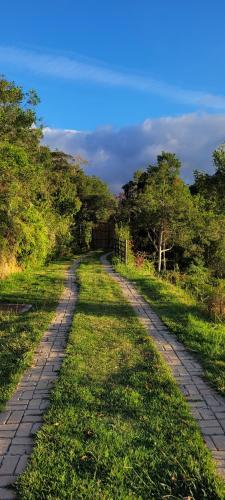 a brick road with trees on both sides at Cabana A-Frame pé na represa com translado de barco in Natividade da Serra