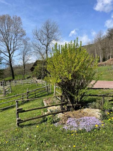 a wooden fence in a field with a tree at Casa Viva B&B in Trivero