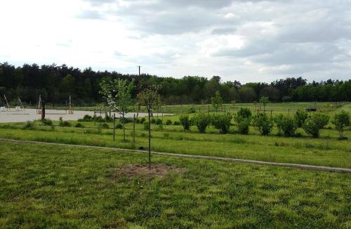 a garden with a tree in the middle of a field at Maison d'hôtes La Tuilerie in Peschadoires
