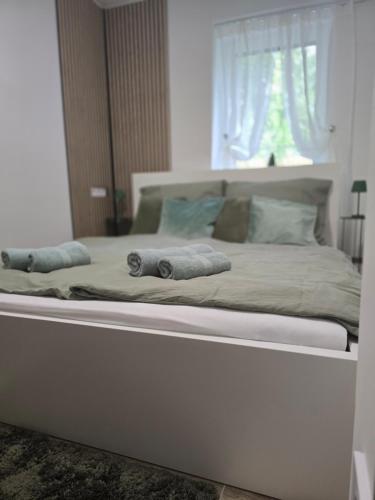 Katil atau katil-katil dalam bilik di Zoé Apartman