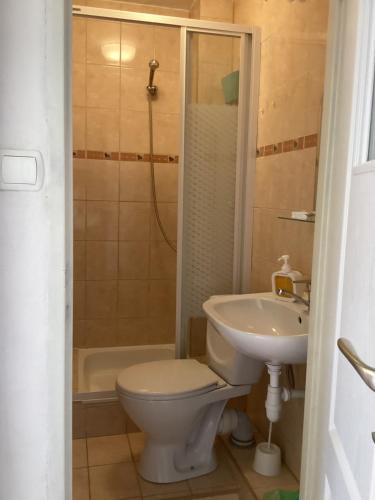 a bathroom with a toilet and a sink and a shower at Willa Rodzinna in Mielno