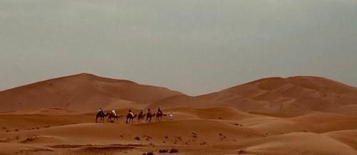 Επισκέπτες που μένουν στο Sahara tarula camp
