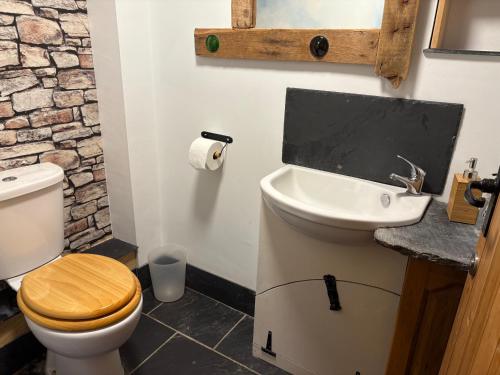 a bathroom with a toilet and a sink at The Shippon at RoseHip in Launceston