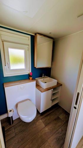 une petite salle de bain avec toilettes et lavabo dans l'établissement Les petites maisons dans la Monterie La Source, à Saint Lo