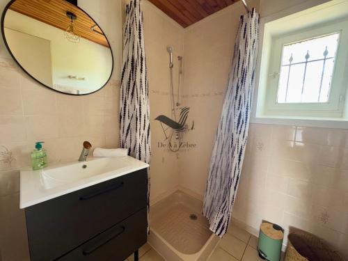 une salle de bain avec un lavabo, un miroir et une douche dans l'établissement Dans mon Verger - Agréable maison idéalement située, à Saint-Agnant